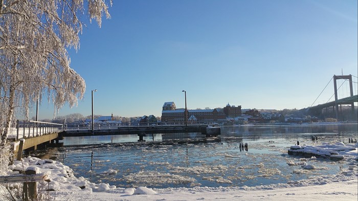 Bron vinter