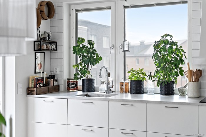 12484156_14-328-16_photo_web