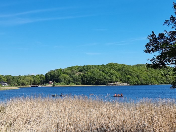 a42ce110-e68b-11ec-ac44-81f2d37152d6 (1) (1)