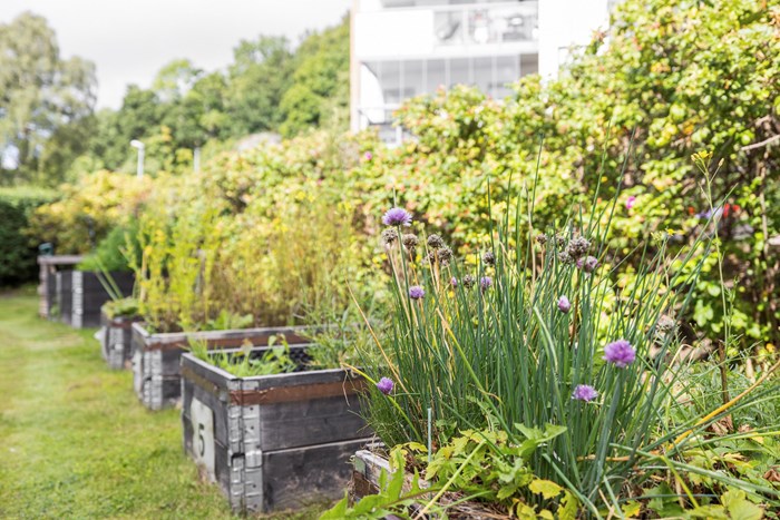 6228734_1_6228734-40_1